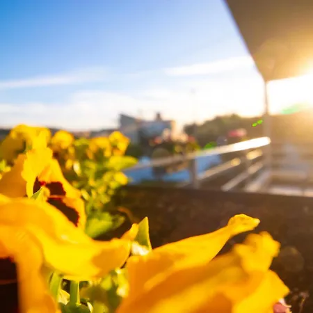 فندق Elite Luxury Boutique