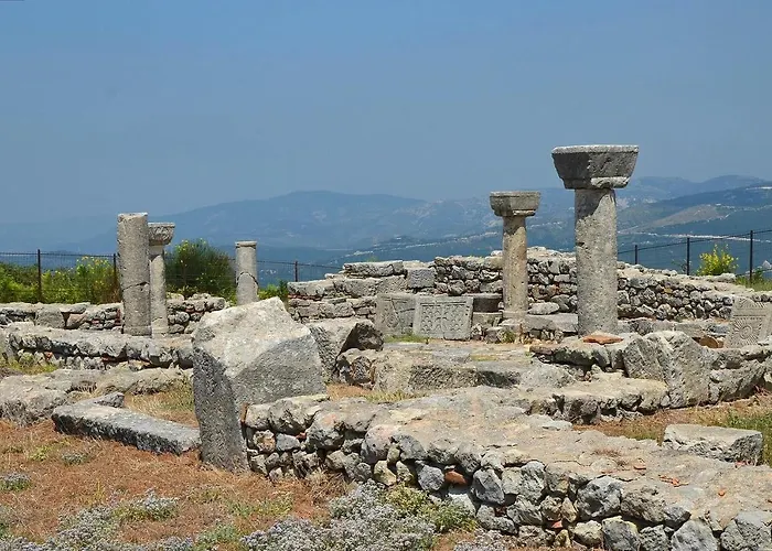 Elite Luxury Boutique فندق