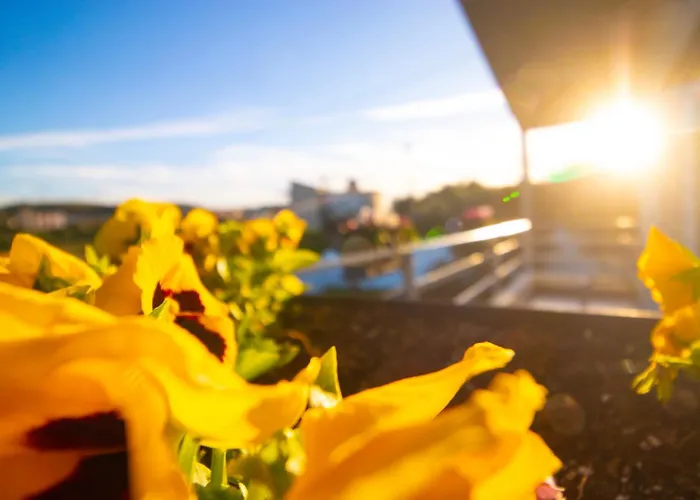 فندق Elite Luxury Boutique